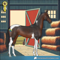 Horse Color:Brown Tobiano 