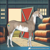 Horse Color:White Spotted Bay Dun