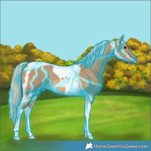 Horse Color:Thunderstruck Chocolate Palomino Dun Tobiano 