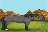 Horse Color:Grullo Sabino Rabicano