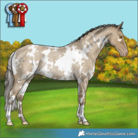 Horse Color:White Spotted Classic Cream Champagne Roan Rabicano 