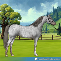 Horse Color:Liver Red Ice Roan Mushroom 