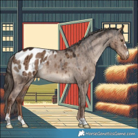 Horse Color:Liver Red Dun Appaloosa Brindle