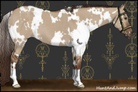 Horse Color:White Spotted Liver Red Dun