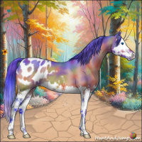 Horse Color:Nacre Watercolor Bay Splash Appaloosa 