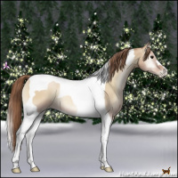 Horse Color:Grullo Pearl Onyx Tobiano 
