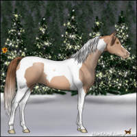 Horse Color:Bay Pearl Tobiano