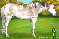 Horse Color:White Spotted Brown Pearl Dun Splash 