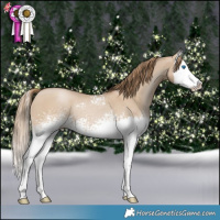 Horse Color:White Spotted Grullo Pearl Splash 