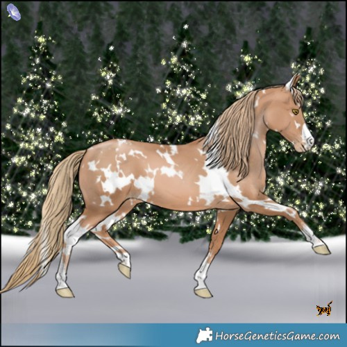 Horse Color:White Spotted Chestnut Pearl 