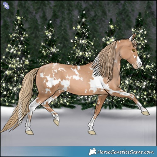 Horse Color:White Spotted Chestnut Pearl 