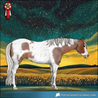 Horse Color:Silver Brown Roan Tobiano Frame 