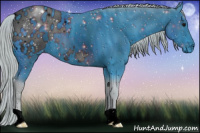Horse Color:ERROR: UNKNOWN ANOMALY