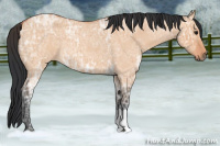 Horse Color:Bay Ice Roan Dun