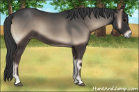 Horse Color:Blue Onyx 