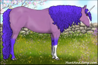 Horse Color:Watercolor Bay 