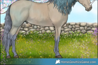 Horse Color:Watercolor Buckskin 
