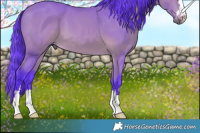 Horse Color:Watercolor Bay 