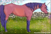 Horse Color:Watercolor Bay 