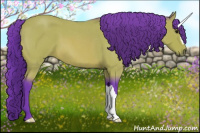 Horse Color:Watercolor Bay Roan