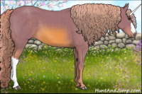 Horse Color:Watercolor Chestnut 