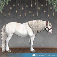 Horse Color:Perlino Sabino  and Perlino Sabino Splash 