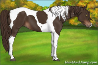 Horse Color:Liver Chestnut Tobiano 