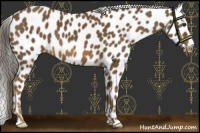 Horse Color:Chocolate Palomino Leopard 