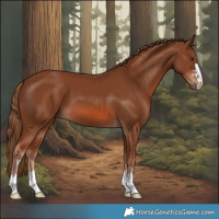 Horse Color:Chestnut 