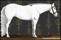 Horse Color:White Spotted Chocolate Silver Smoky Black Chinchilla Pearl Sabino Appaloosa 