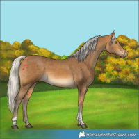Horse Color:Silver Buckskin Tobiano 