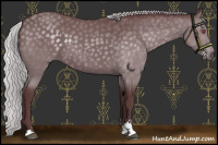 Horse Color:Chocolate Silver Black Chinchilla Sabino 