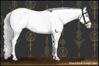 Horse Color:Chocolate Silver Smoky Black Chinchilla Pearl 