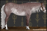 Horse Color:Chocolate Silver Black Chinchilla Sabino 