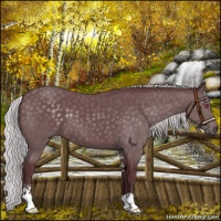 Horse Color:Chocolate Silver Black Chinchilla Sabino 