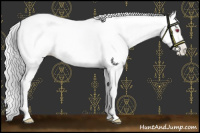 Horse Color:Chocolate Silver Smoky Black Chinchilla Pearl Sabino 