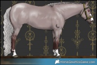 Horse Color:Chocolate Silver Smoky Grullo Chinchilla