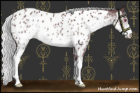 Horse Color:Chocolate Silver Smoky Black Chinchilla Sabino Near Leopard 