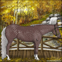 Horse Color:Chocolate Silver Black Chinchilla 