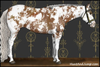 Horse Color:Silver Buckskin Sabino Varnish 