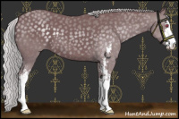 Horse Color:Chocolate Silver Smoky Black Chinchilla Sabino