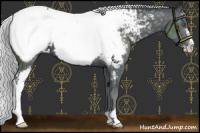 Horse Color:Silver Black Chinchilla Sabino Near Fewspot 