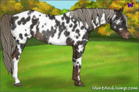 Horse Color:White Spotted Liver Chestnut Mushroom Near Leopard Rabicano 