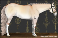 Horse Color:Silver Bay Onyx