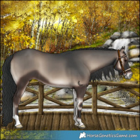 Horse Color:Blue Onyx