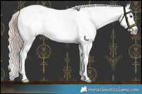 Horse Color:Chocolate Palomino Onyx Appaloosa Rabicano