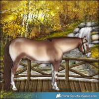 Horse Color:Red Onyx