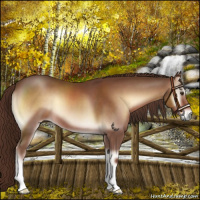 Horse Color:Red Onyx 