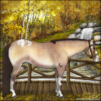 Horse Color:Buckskin Roan Onyx Blanket 