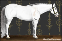 Horse Color:Amber Champagne Onyx Sabino 
